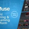 DigiMuse - Music Streaming Platform