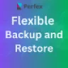 Flexible Backup and Restore Module for Perfex