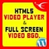 Video Player & FullScreen Video Background - WP Plugin