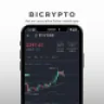 Bicrypto Mobile - Fully Native Flutter Mobile App for Bicrypto