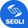 Seoli - SEO HTML Template