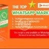 Waziper - Whatsapp Marketing Tool - Stackposts